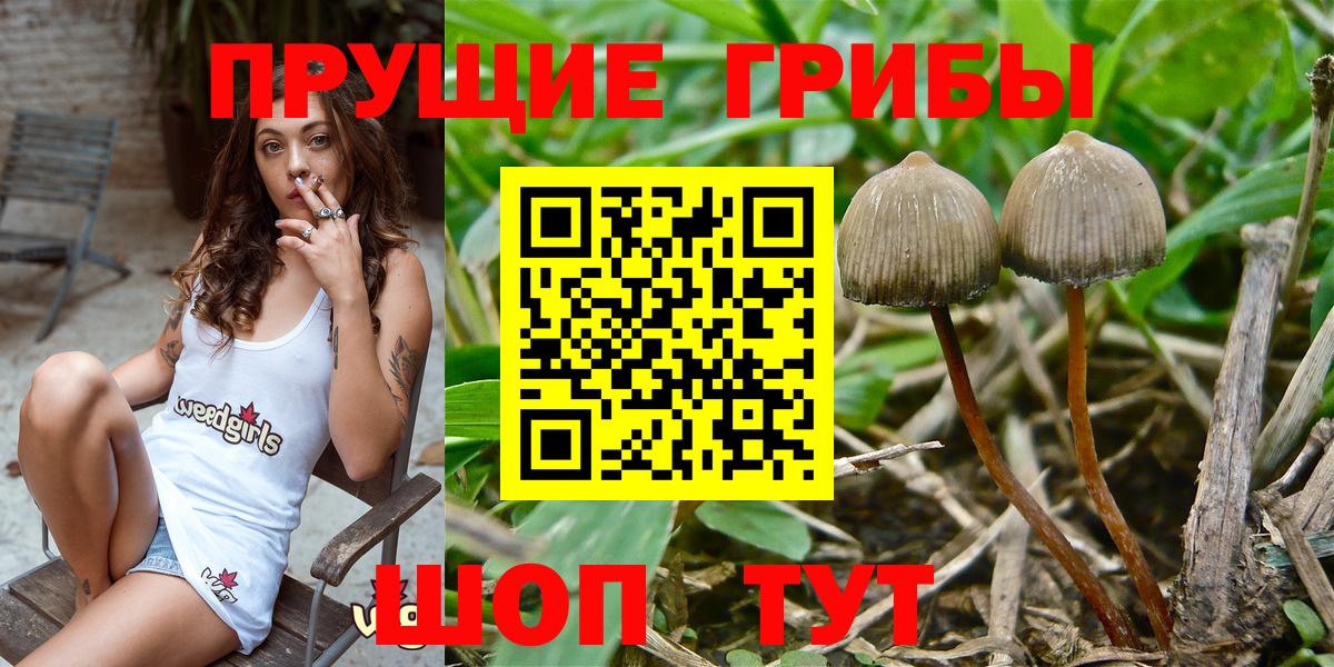 Галлюциногенные грибы Magic Shrooms Котовск