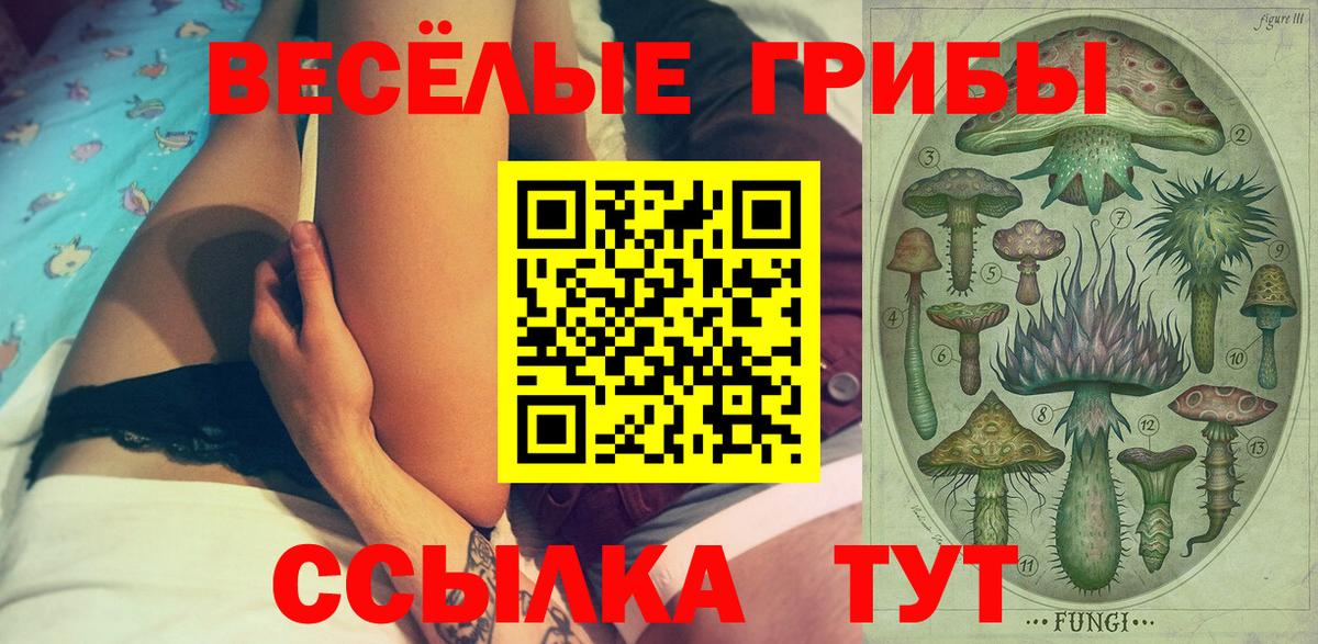 Котовск  Псилоцибиновые грибы мицелий  наркота  Вход с VPN 